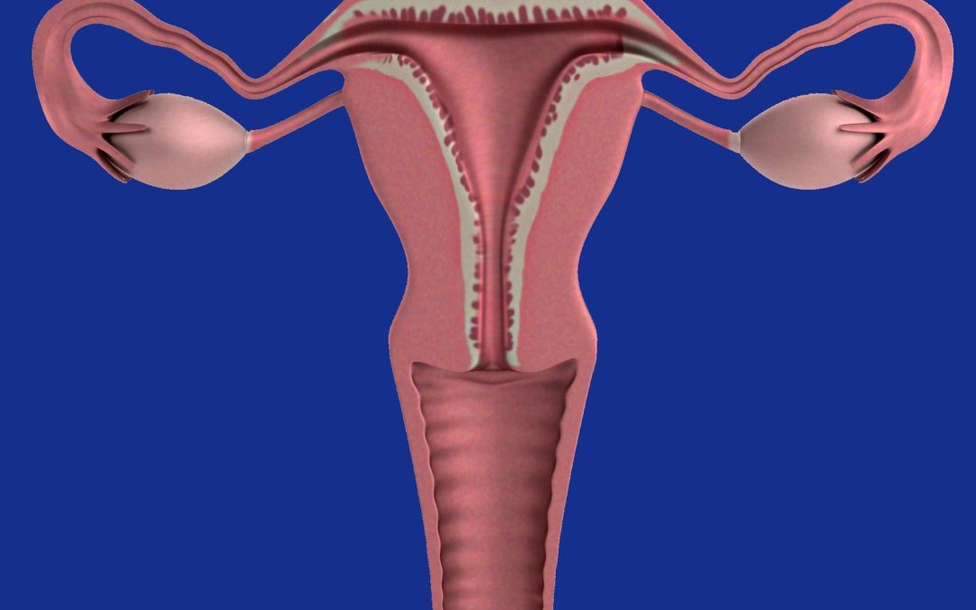 Le Syndrome des Ovaires Polykystiques (SOPK) •